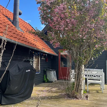 Bbl59 Ferienhaus Fåborg