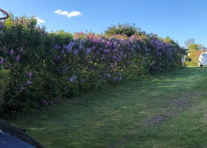 Σπίτι διακοπών Bbl59 Fåborg